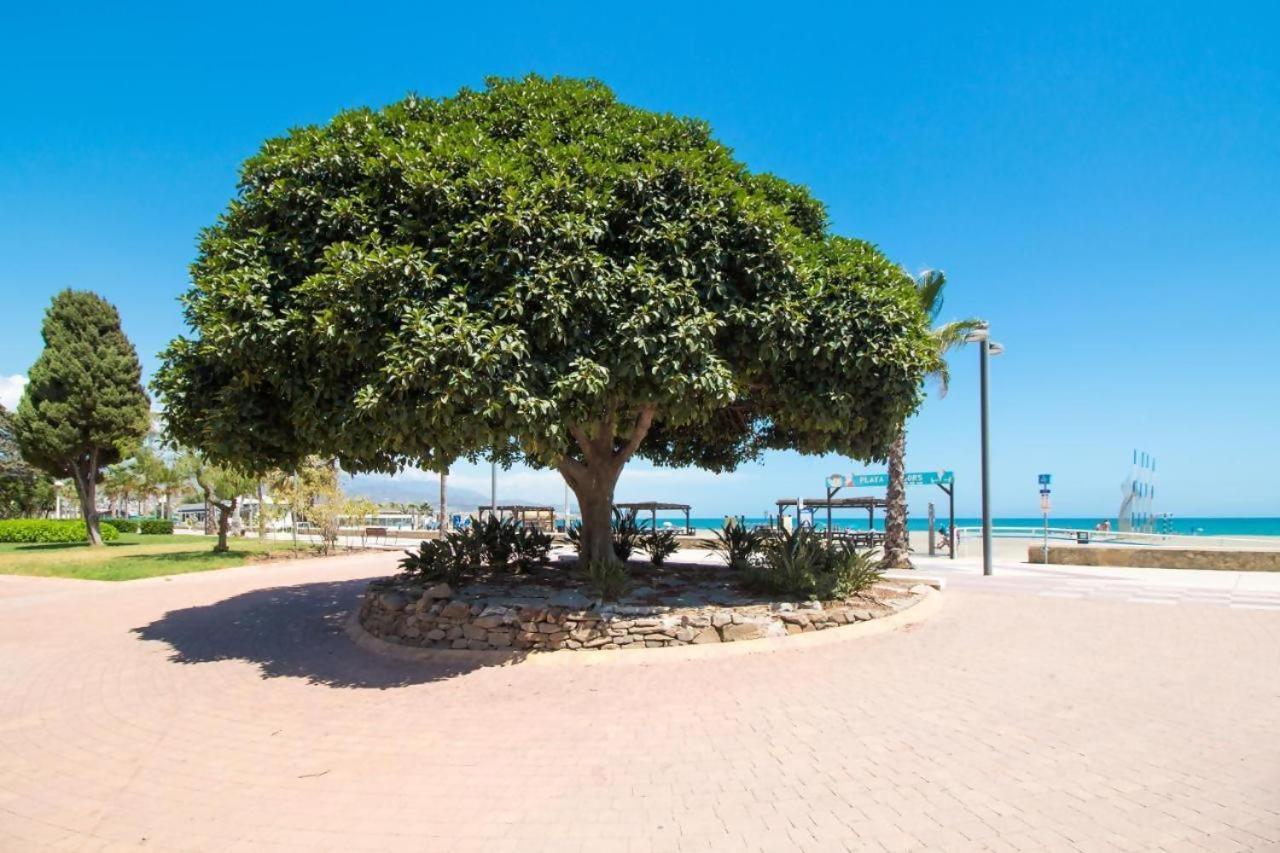 Fabuloso Apartamento A 50M De Playa Centrico Торре-дель-Мар Экстерьер фото